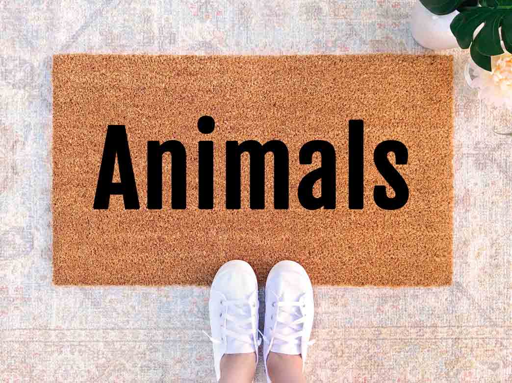 Animals