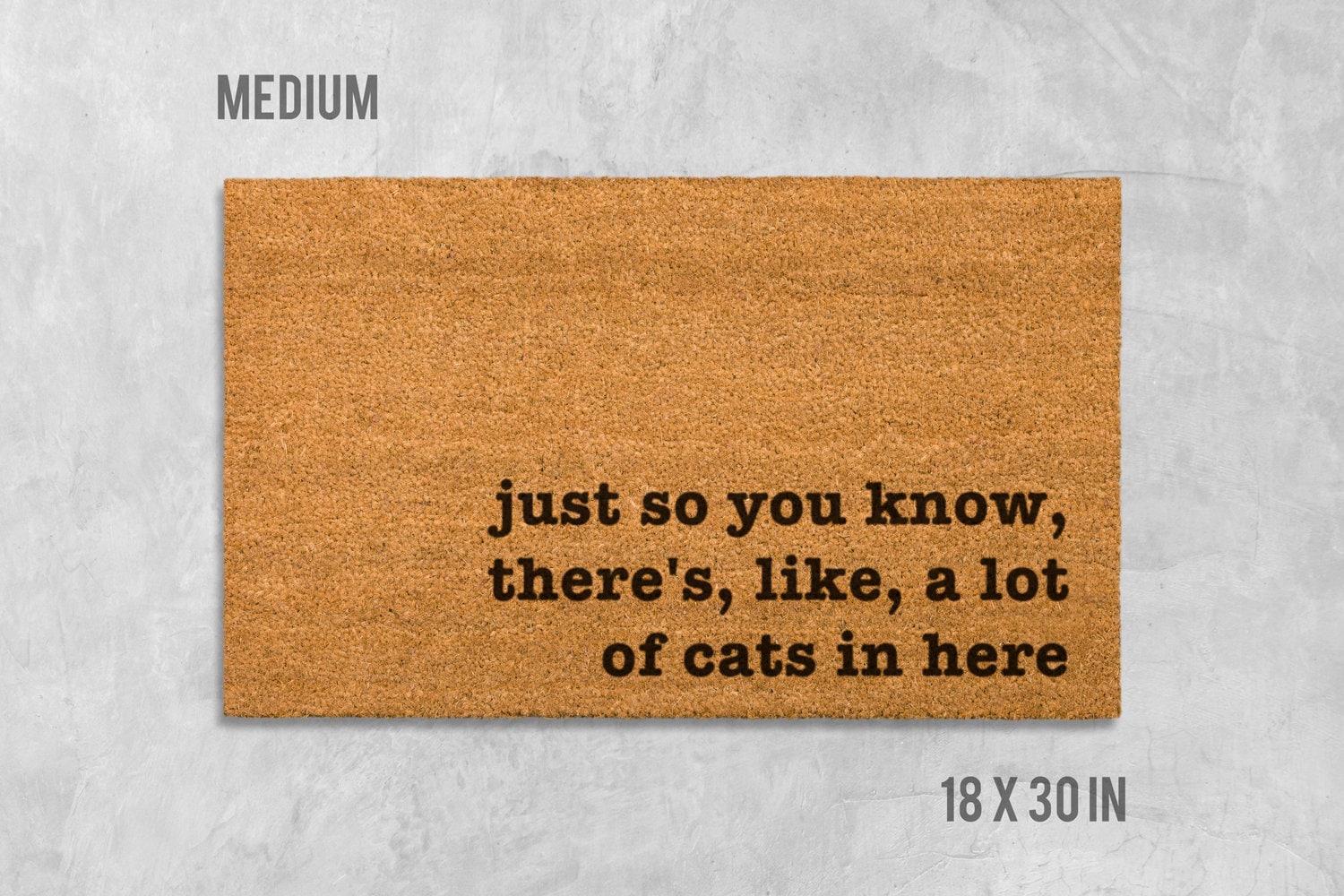 Cat Doormat: Funny Natural Fiber Welcome Mat (House Entry)
