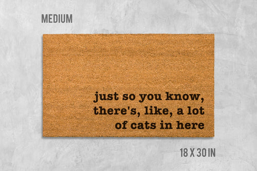 Cat Doormat: Funny Natural Fiber Welcome Mat (House Entry)