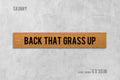 Back That Grass Up Door Mat, Back That Grass Up Doormat, Funny Doormat, Housewarming, Birthday, Wedding, Funny Gift, Cute Doormat, Doormat
