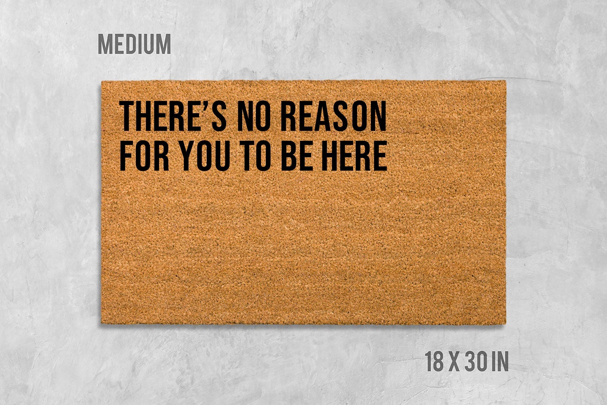 There's No Reason For You To Be Here Doormat, Funny Door Mat, Funny Welcome Mat, Housewarming Gift, Wedding Gift, Birthday Gift, Rude Mat