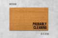 Probably Cleaning Doormat, Funny Doormat, Housewarming Gift, Birthday Gift, Anniversary Gift, Door Mat, Closing Gift, Clean Freak Gift, Mat