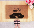 Dog Lover Doormat: Funny Animal Lovers Welcome Mat